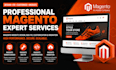 design magento website fix magento bug issue customize magento website migration