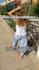 create a dog ugc video for your brand