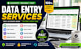 do accurate data entry, excel data entry, copy paste and web research