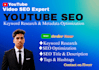do professional youtube video SEO optimization