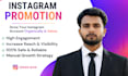 do professional instagram promotion for organic growth