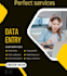 be your expert virtual assistant for data entry and web research