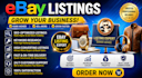 do ebay dropshipping product listing