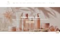 build shopify dropshipping store