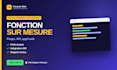 develop a custom wordpress plugin or web application french developer