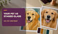 turn your pet photo into a stained glass pattern