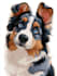 draw disney pets portrait illustration in disney