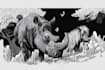 draw simple black and white illustration
