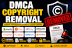 remove delete copyrighted  listings from shopify, etsy, ebay, amazon, fb by dmca