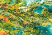draw vector map and illustration