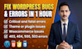 fix wordpress issues, fix wordpress errors, fatal bugs