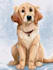 create disney pet portrait illustration