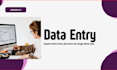 do accurate data entry and cleaning for large data sets