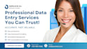 do professional ms word data entry