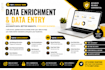 do data entry , data enrichment, data mining