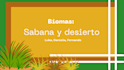 design professional canva presentations for students