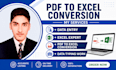 do accurate PDF to excel conversion, data entry and excel tasks