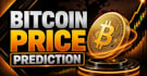 help you set up a bitcoin wallet and learn crypto step by st