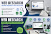 do professional web research, internet research and data collection
