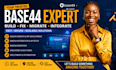 build, fix, debug, migrate, and integrate your base44 web app
