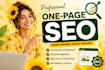 complete on page SEO optimisation