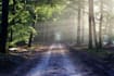 do scenic nature photography