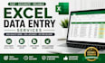 do excel data formating ,cleaning and data entry