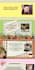 design custom aesthetic canva templates and presentations