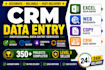 do CRM data entry, excel data entry, web research and copy paste