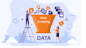 do web scraping, data extraction, and API integration using python