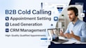 be your b2b cold caller and sales rep