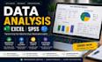 analyse your data using excel and spss