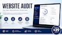 perform a professional website audit