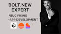 bolt new bug fixing bolt new mvp and develop saas websites