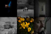 colour grade and enhance up to 2 of your photos with batch option