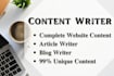 do professional content writing and copywriting