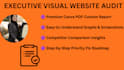 do executive visual website audit and priority roadmap