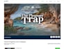 develop performant, responsive, and interactive website