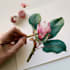 draw a botanical illustration