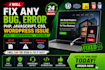 professional website bug fixing