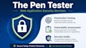 do web application penetration testing and security audits