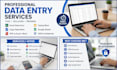 do data entry excel sap concur virtual assistant
