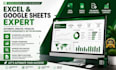 do excel spreedsheet, automation, vba macros, dashboards and google sheet expert