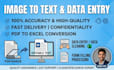 do professional data entry, copy paste, and pdf conversion
