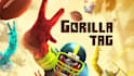 edit your gorilla tag video for cheap make it professional