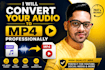 convert your audio to mp4 professionally