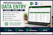do professional data entry, PDF to excel, and data typing