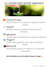 design eye catching canva social media posts