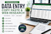 do data entry, copy paste, and web research