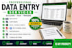 do professional data entry, copy
